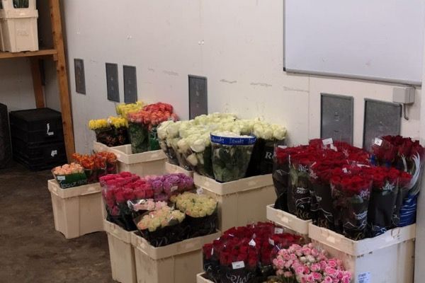 oettinger-blumen-01.jpeg